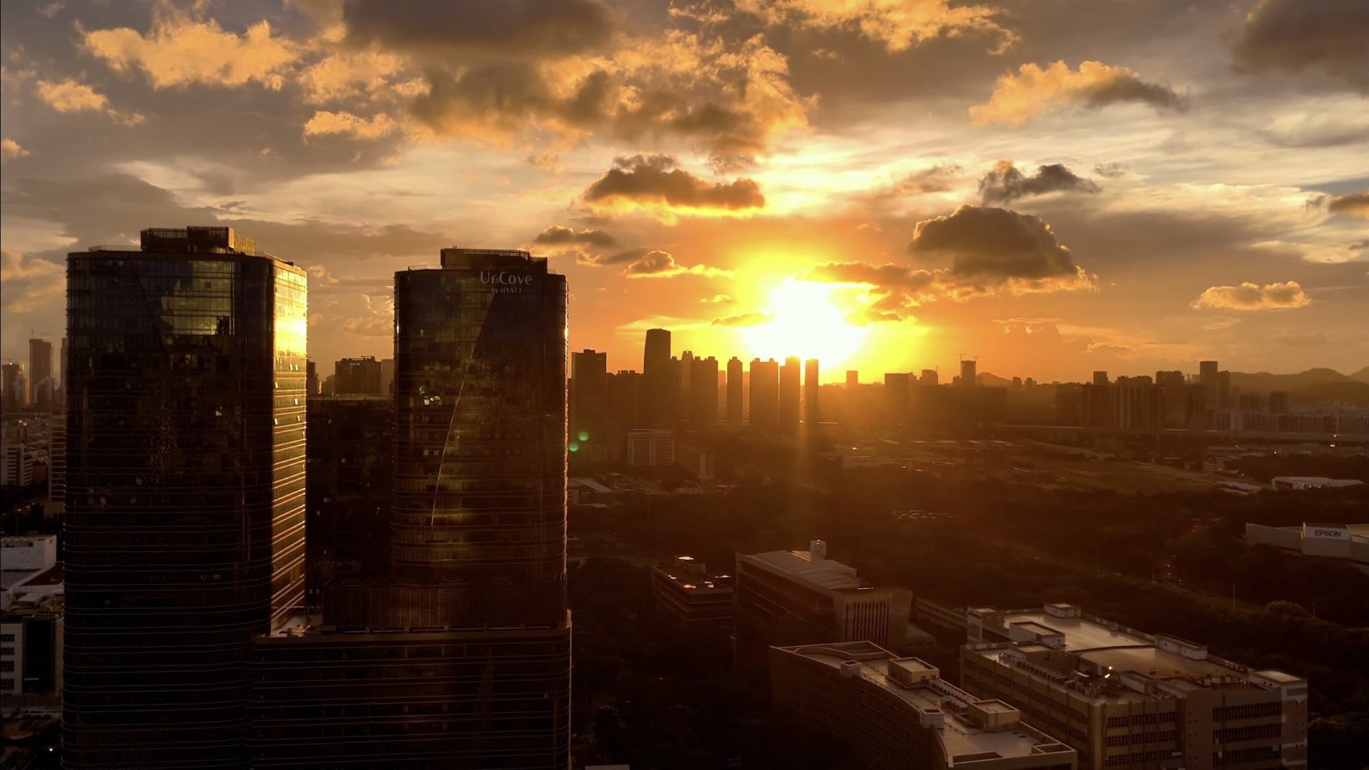 Unexpected Dance under the Sunset: Flying Birds Become Honeycomb Drone Video MVP Moment缩略图